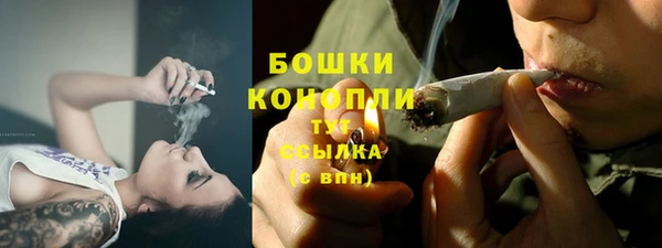 мет Бородино