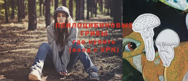 мет Бородино
