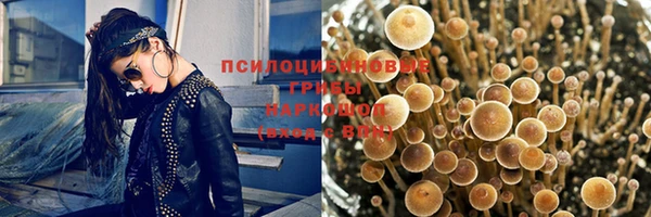 твердый Лагань