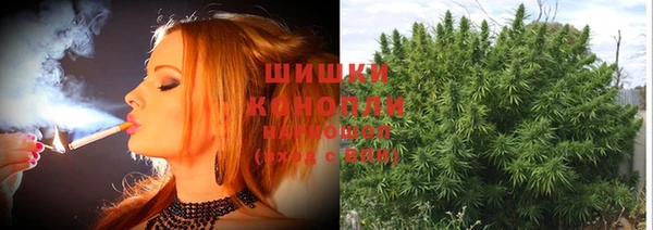 мет Бородино