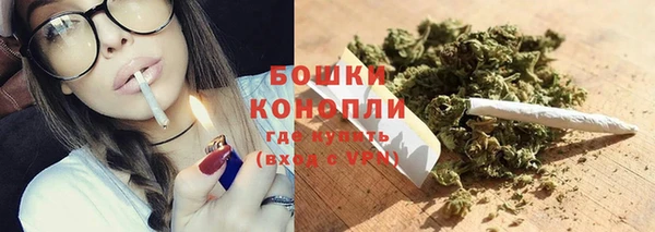 мет Бородино