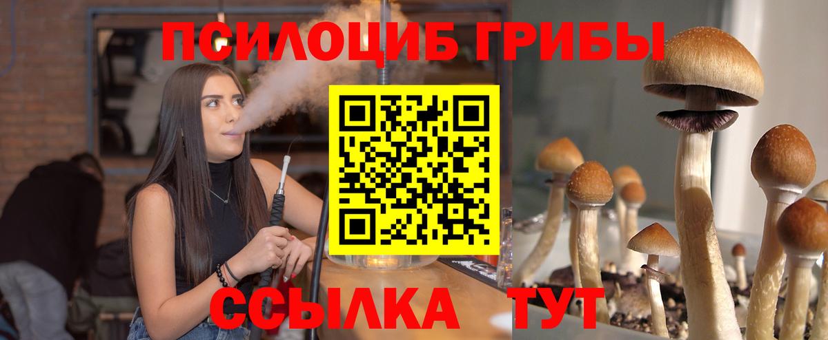 Галлюциногенные грибы MAGIC MUSHROOMS  Вход с VPN  Великий Устюг 